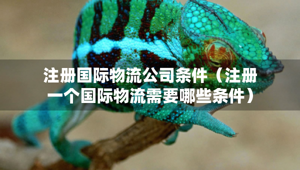 注冊(cè)國(guó)際物流公司條件（注冊(cè)一個(gè)國(guó)際物流需要哪些條件）