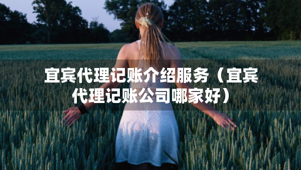 宜賓代理記賬介紹服務(wù)（宜賓代理記賬公司哪家好）