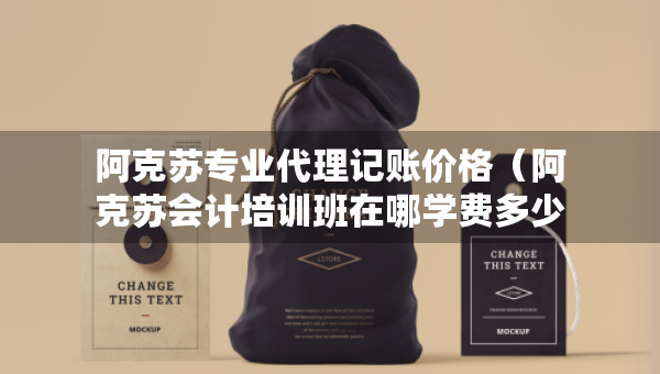 阿克蘇專業(yè)代理記賬價格（阿克蘇會計培訓(xùn)班在哪學(xué)費(fèi)多少）