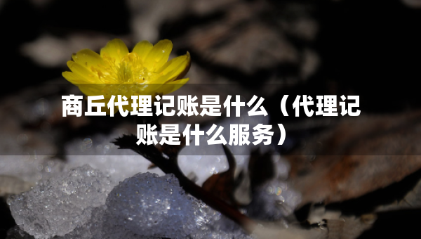 商丘代理記賬是什么（代理記賬是什么服務(wù)）