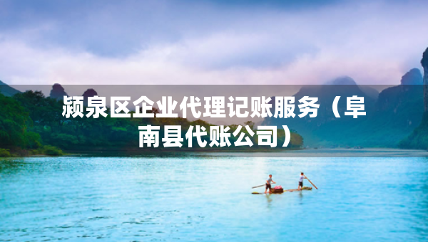 潁泉區(qū)企業(yè)代理記賬服務(wù)（阜南縣代賬公司）