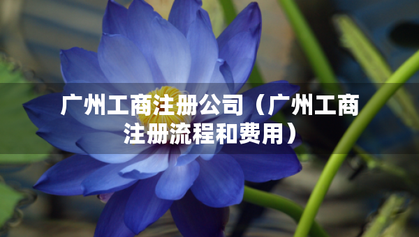 廣州工商注冊公司（廣州工商注冊流程和費用）