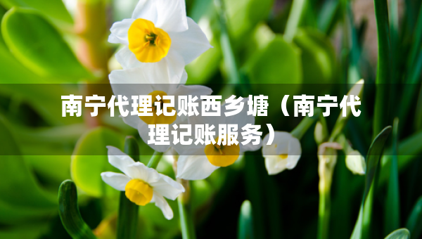 南寧代理記賬西鄉(xiāng)塘（南寧代理記賬服務(wù)）