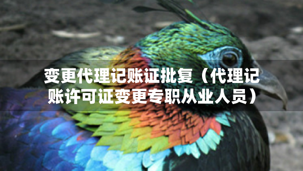 變更代理記賬證批復(fù)（代理記賬許可證變更專職從業(yè)人員）