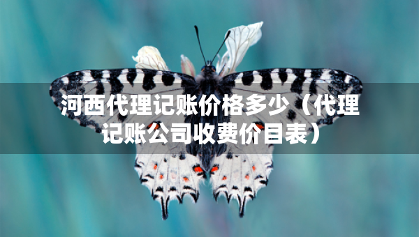 河西代理記賬價(jià)格多少（代理記賬公司收費(fèi)價(jià)目表）