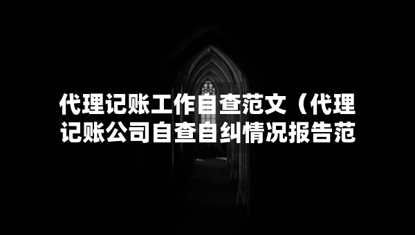 代理記賬工作自查范文（代理記賬公司自查自糾情況報告范文）