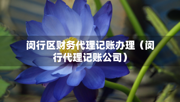 閔行區(qū)財務代理記賬辦理（閔行代理記賬公司）