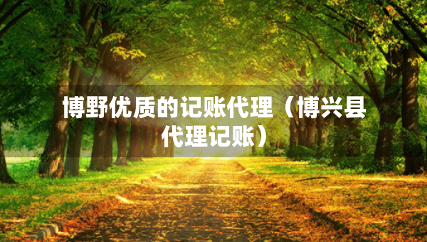 博野優(yōu)質(zhì)的記賬代理（博興縣代理記賬）