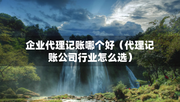 企業(yè)代理記賬哪個好（代理記賬公司行業(yè)怎么選）