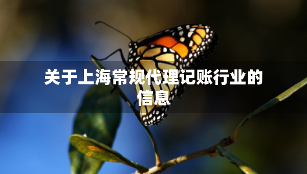 關(guān)于上海常規(guī)代理記賬行業(yè)的信息