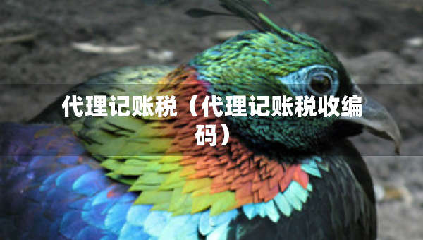 代理記賬稅（代理記賬稅收編碼）