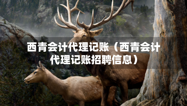 西青會計代理記賬（西青會計代理記賬招聘信息）