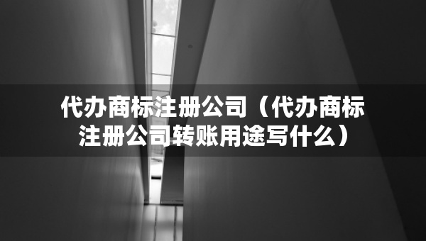 代辦商標注冊公司（代辦商標注冊公司轉(zhuǎn)賬用途寫什么）