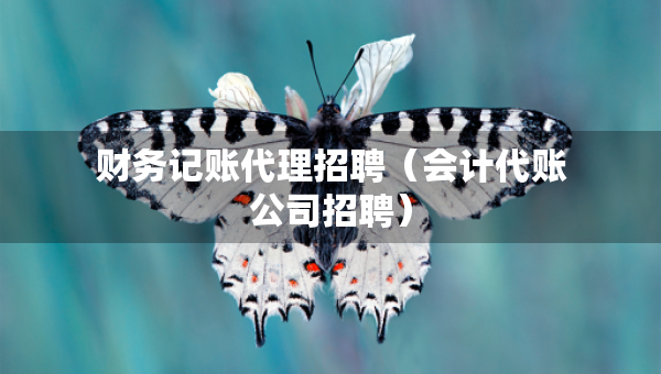 財(cái)務(wù)記賬代理招聘（會(huì)計(jì)代賬公司招聘）