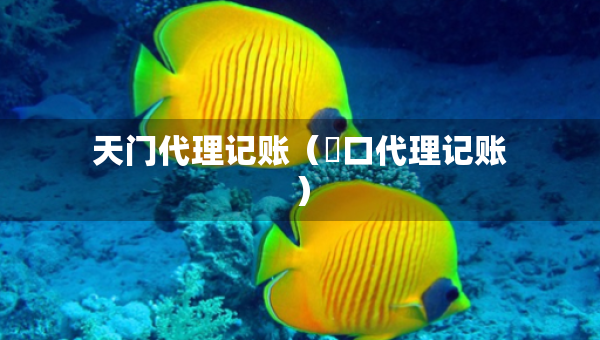 天門代理記賬（硚口代理記賬）