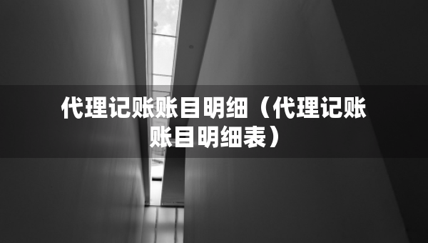 代理記賬賬目明細（代理記賬賬目明細表）