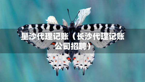 星沙代理記賬（長沙代理記賬公司招聘）