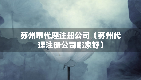 蘇州市代理注冊公司（蘇州代理注冊公司哪家好）