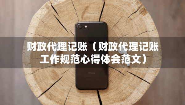 財政代理記賬（財政代理記賬工作規(guī)范心得體會范文）