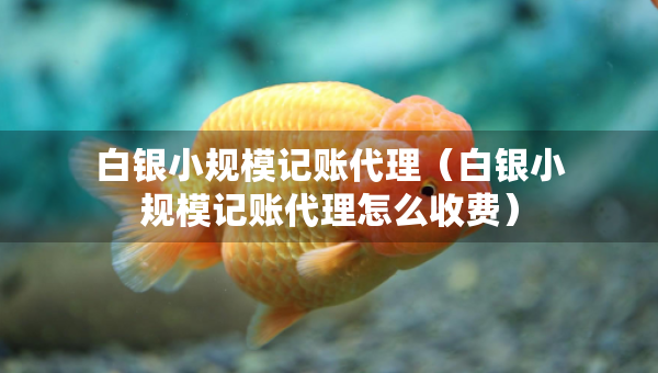 白銀小規(guī)模記賬代理（白銀小規(guī)模記賬代理怎么收費）