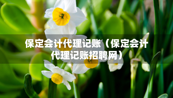 保定會(huì)計(jì)代理記賬（保定會(huì)計(jì)代理記賬招聘網(wǎng)）