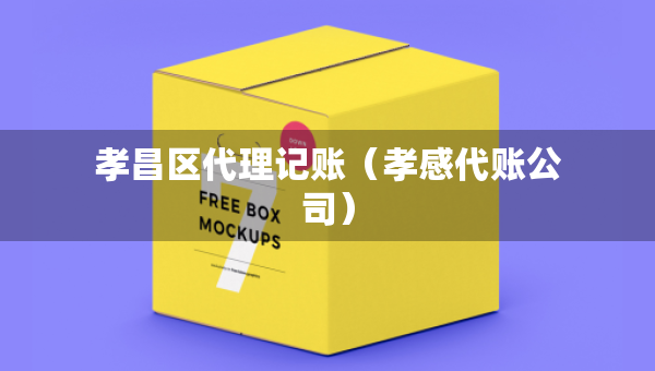 孝昌區(qū)代理記賬（孝感代賬公司）