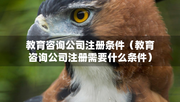 教育咨詢公司注冊(cè)條件（教育咨詢公司注冊(cè)需要什么條件）