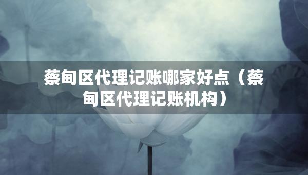 蔡甸區(qū)代理記賬哪家好點(diǎn)（蔡甸區(qū)代理記賬機(jī)構(gòu)）