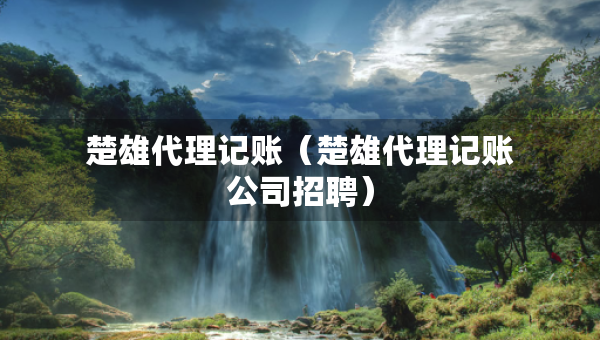 楚雄代理記賬（楚雄代理記賬公司招聘）