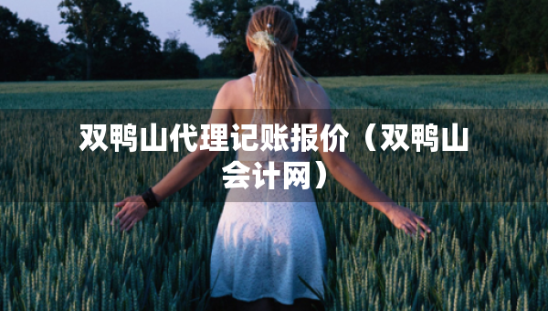 雙鴨山代理記賬報價（雙鴨山會計網(wǎng)）