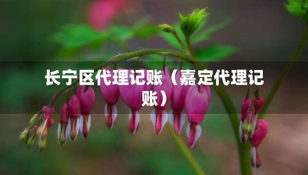 長(zhǎng)寧區(qū)代理記賬（嘉定代理記賬）