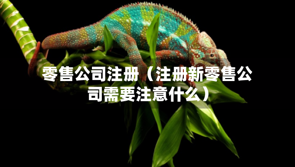零售公司注冊（注冊新零售公司需要注意什么）