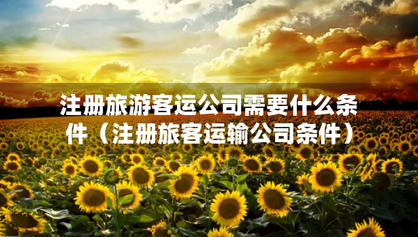注冊(cè)旅游客運(yùn)公司需要什么條件（注冊(cè)旅客運(yùn)輸公司條件）