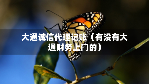 大通誠信代理記賬（有沒有大通財務上門的）