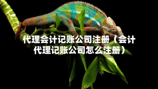 代理會(huì)計(jì)記賬公司注冊(cè)（會(huì)計(jì)代理記賬公司怎么注冊(cè)）
