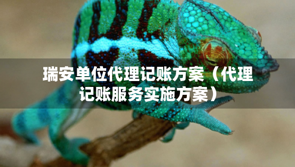 瑞安單位代理記賬方案（代理記賬服務(wù)實(shí)施方案）