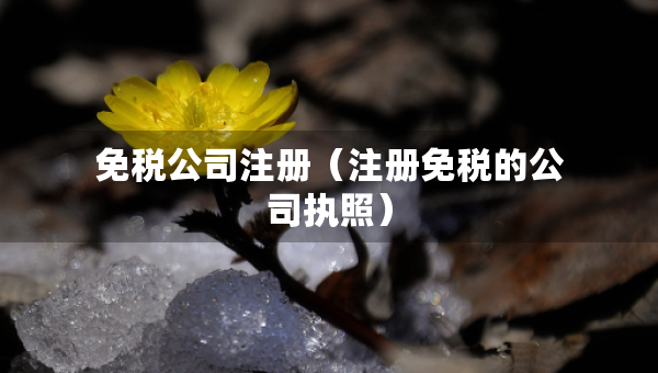 免稅公司注冊(cè)（注冊(cè)免稅的公司執(zhí)照）