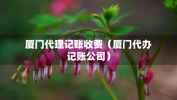 廈門代理記賬收費（廈門代辦記賬公司）