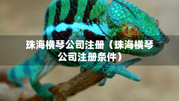 珠海橫琴公司注冊（珠海橫琴公司注冊條件）