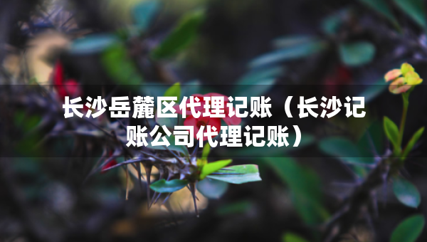 長沙岳麓區(qū)代理記賬（長沙記賬公司代理記賬）