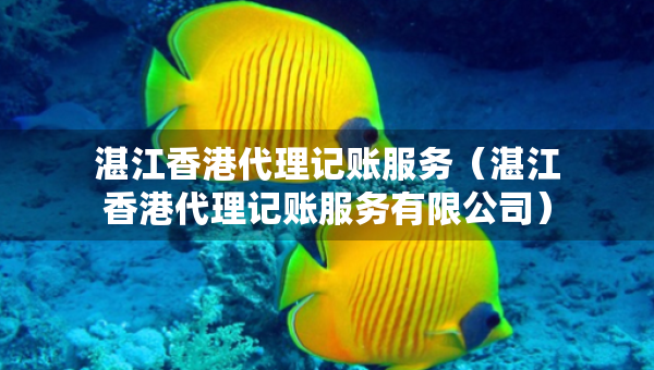 湛江香港代理記賬服務(wù)（湛江香港代理記賬服務(wù)有限公司）
