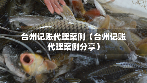 臺(tái)州記賬代理案例（臺(tái)州記賬代理案例分享）