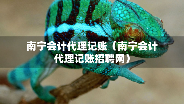 南寧會(huì)計(jì)代理記賬（南寧會(huì)計(jì)代理記賬招聘網(wǎng)）