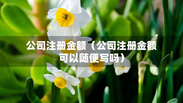 公司注冊金額（公司注冊金額可以隨便寫嗎）