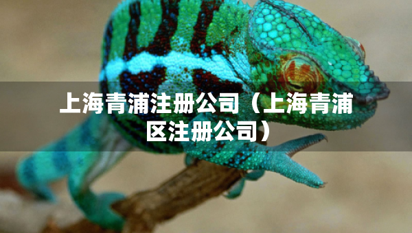 上海青浦注冊公司（上海青浦區(qū)注冊公司）