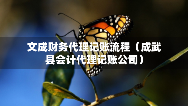 文成財(cái)務(wù)代理記賬流程（成武縣會(huì)計(jì)代理記賬公司）
