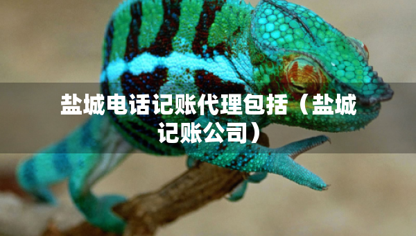 鹽城電話記賬代理包括（鹽城記賬公司）