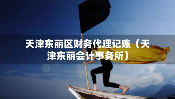 天津東麗區(qū)財務代理記賬（天津東麗會計事務所）
