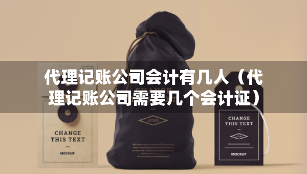代理記賬公司會(huì)計(jì)有幾人（代理記賬公司需要幾個(gè)會(huì)計(jì)證）