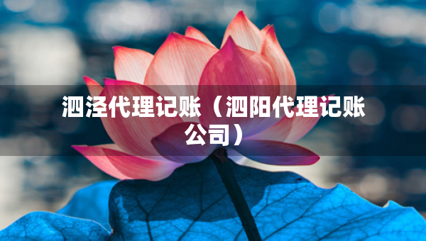 泗涇代理記賬（泗陽代理記賬公司）